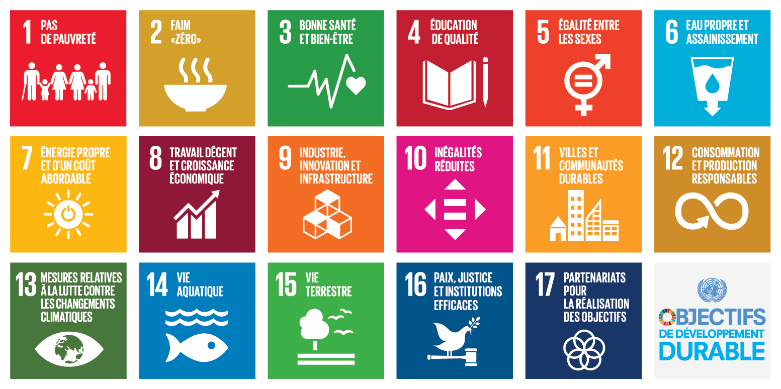 Les 17 objectifs de développement durable de l'ONU